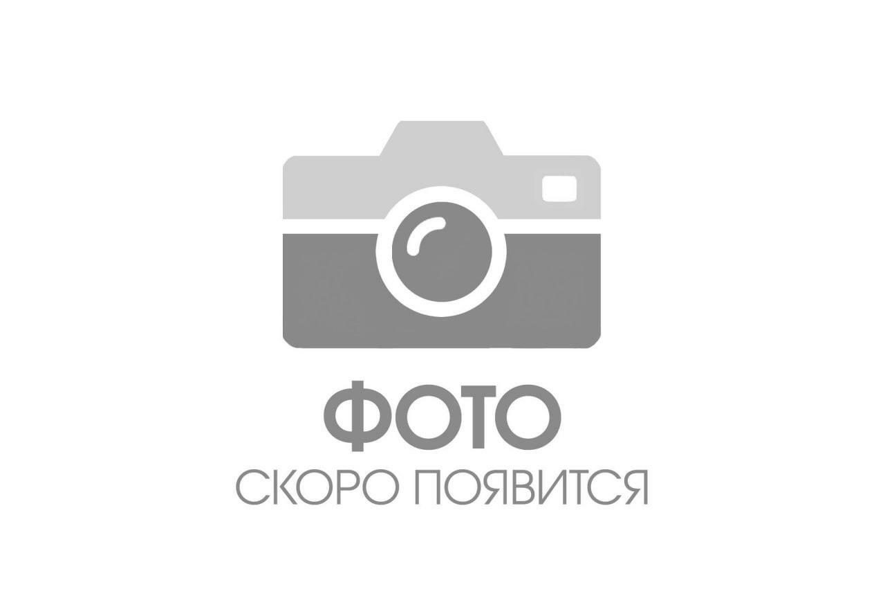 Казань литературная